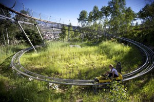 5 Cool Places to Ride an Alpine Slide