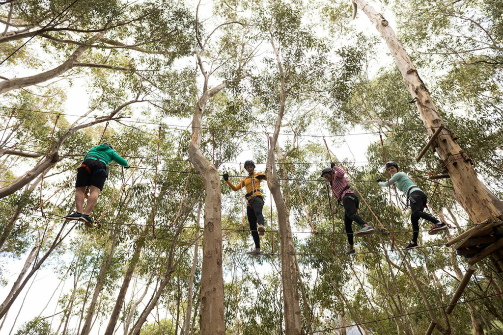 Ziplining: Everything You Need to Know