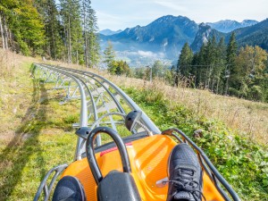 The Top 5 Alpine Slides to Visit in Colorado