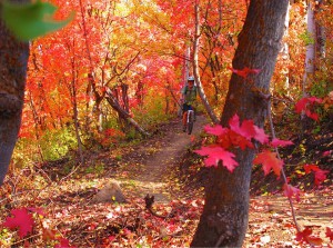 5 Ways You Can Enjoy Fall in the Mountains