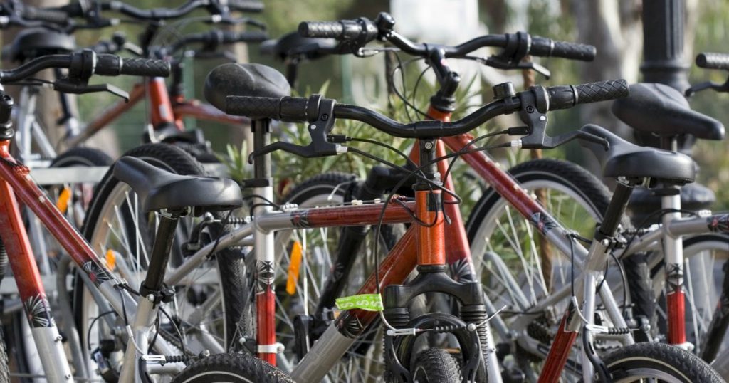 Charter Sports Offers Bike Rentals for Every Level