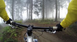 7 Top Mountain Bike Trails to Ride This Summer