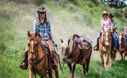 Bearcat Stables 3