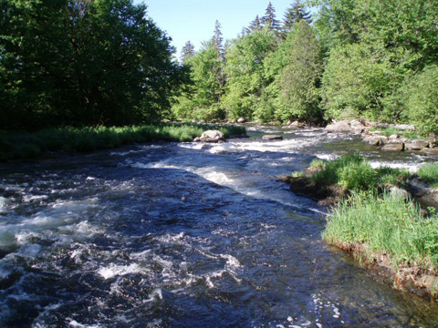 Hidden Fishing Spots of New Hampshire