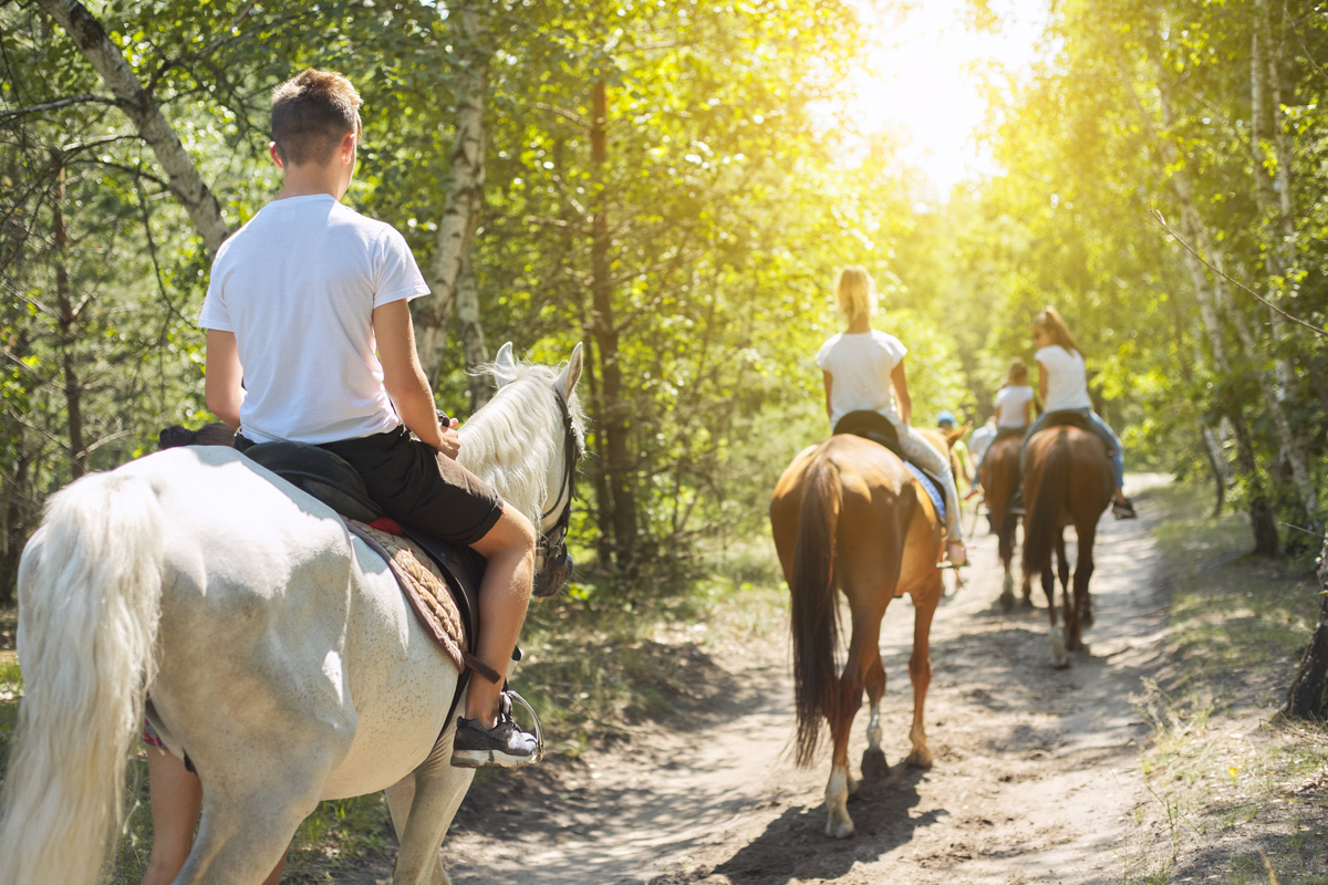 Explore the Mountains on Horseback